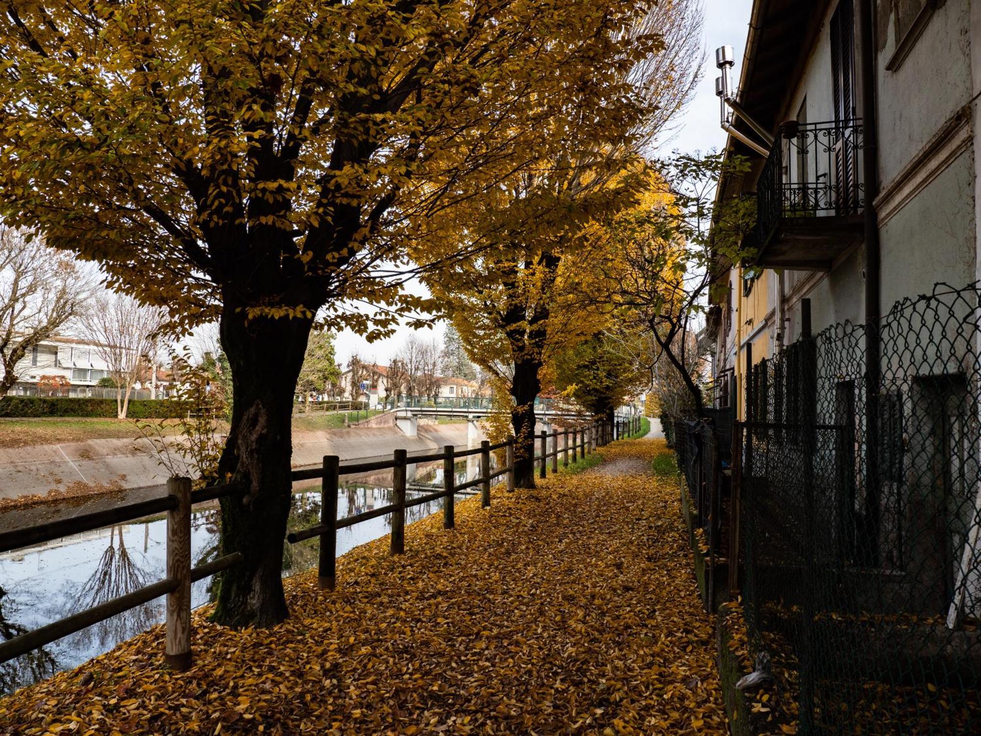 Villoresi Rooms Castano Primo Dış mekan fotoğraf